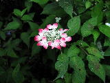 20131127-img039.jpg 20131127-img039.jpg
