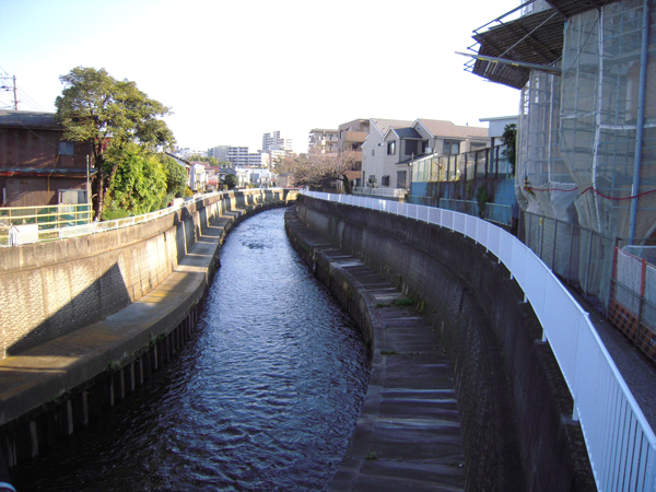 20150107-600fujisawa.jpg