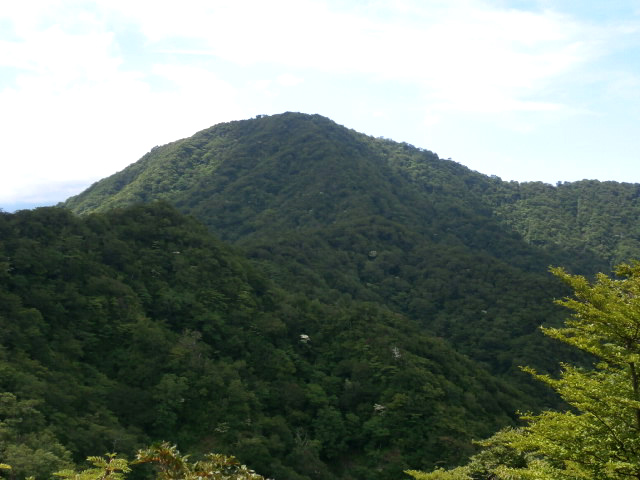 20150629-p6280019.jpg 20150629-p6280019.jpg