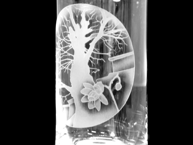 20150908-rengesyoma2.jpg 20150908-rengesyoma2.jpg