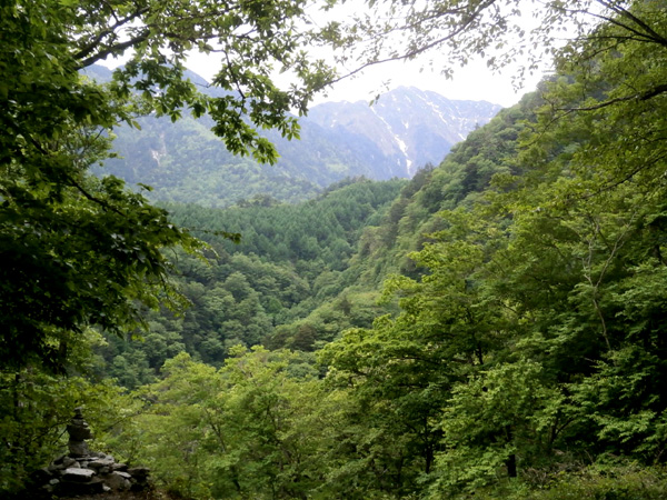 20160530-p5280002.jpg 20160530-p5280002.jpg